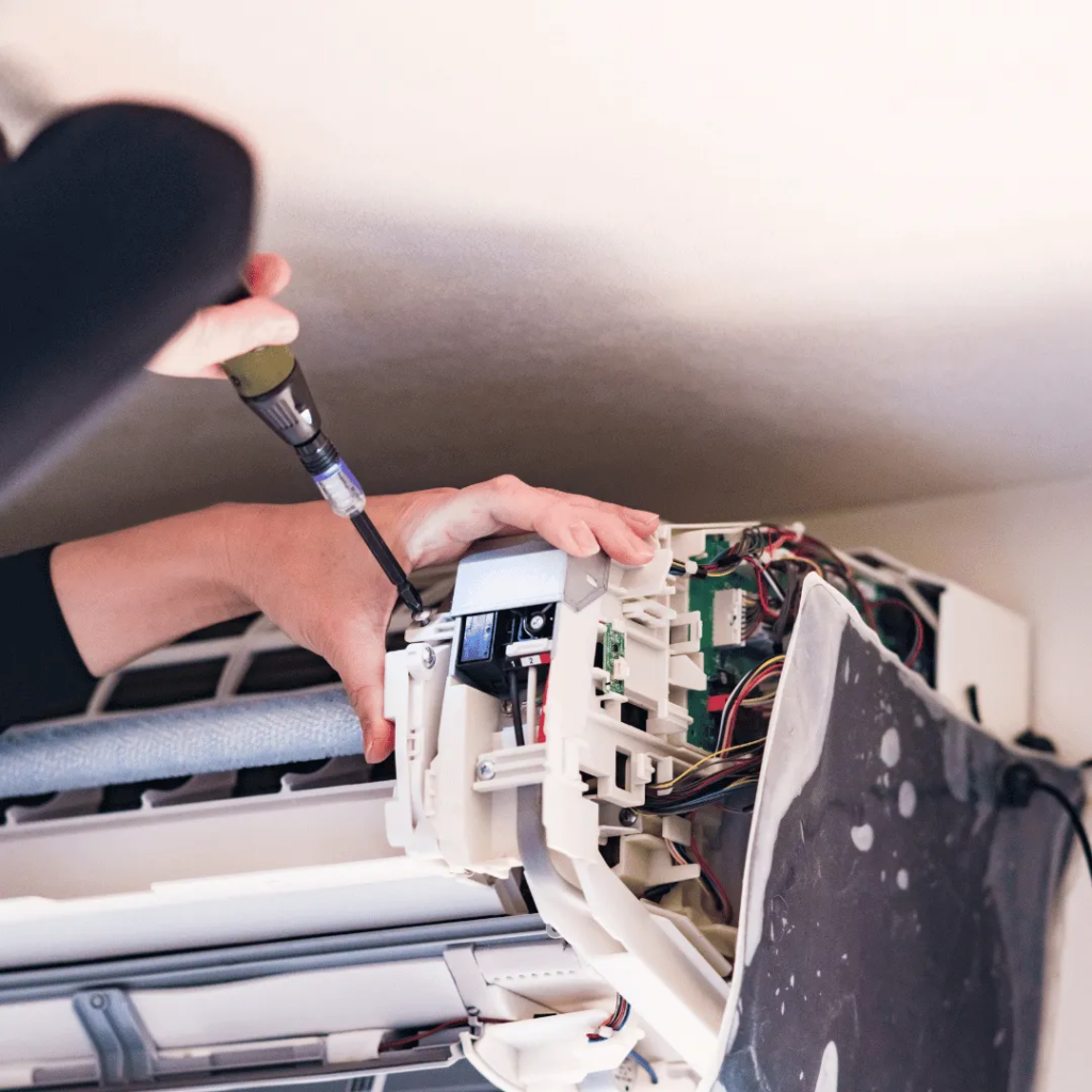 5938299969034262749-1