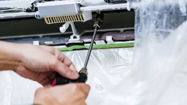 5938299969034262753-1