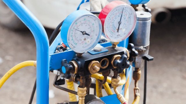 5938299969034262758-1